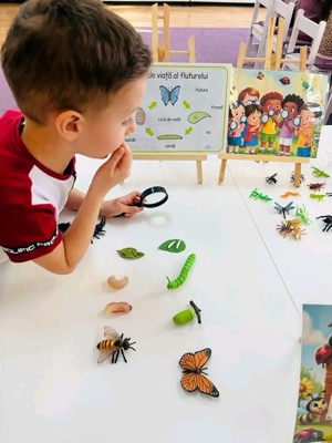 Copil cu lupă studiind ciclul de viață al fluturelui